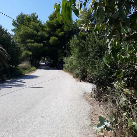 Olive Tree House בית נופש קאונופטרה
