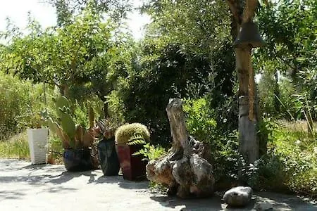 Olive Tree House קאונופטרה
